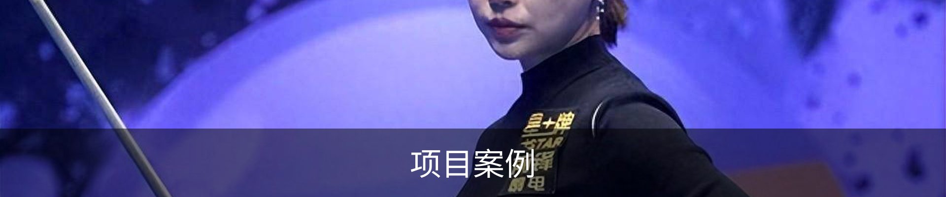 项目案例